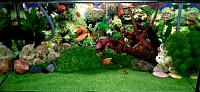 STM Artificial Grass Grows Underwater Too